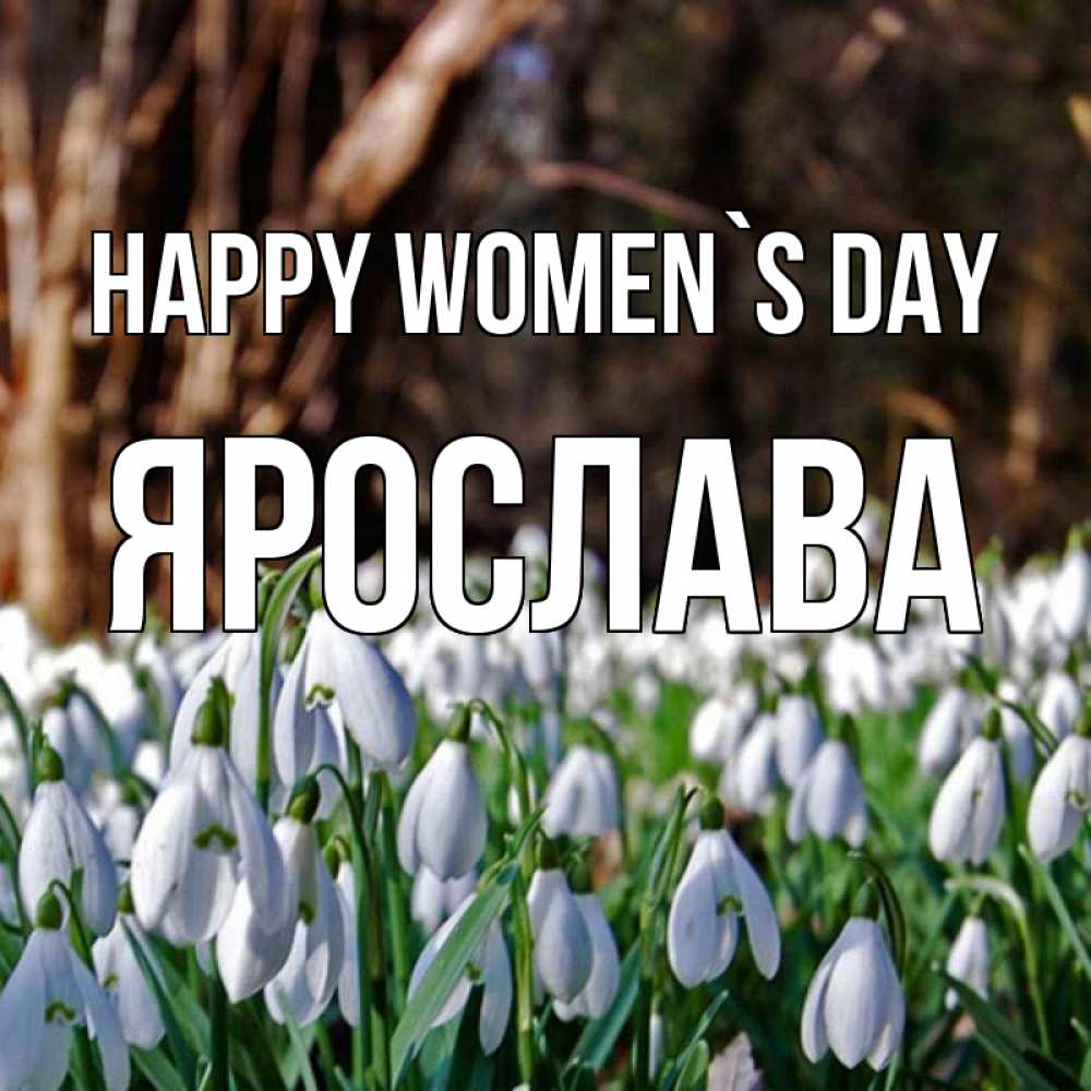 Greetings card с именем, Ярослава happy women`s day с подснежниками 1 Greetings with text for free download 